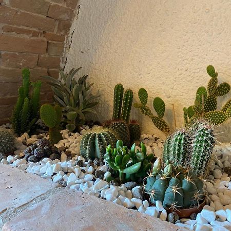Cactus Suite Pisa Eksteriør bilde