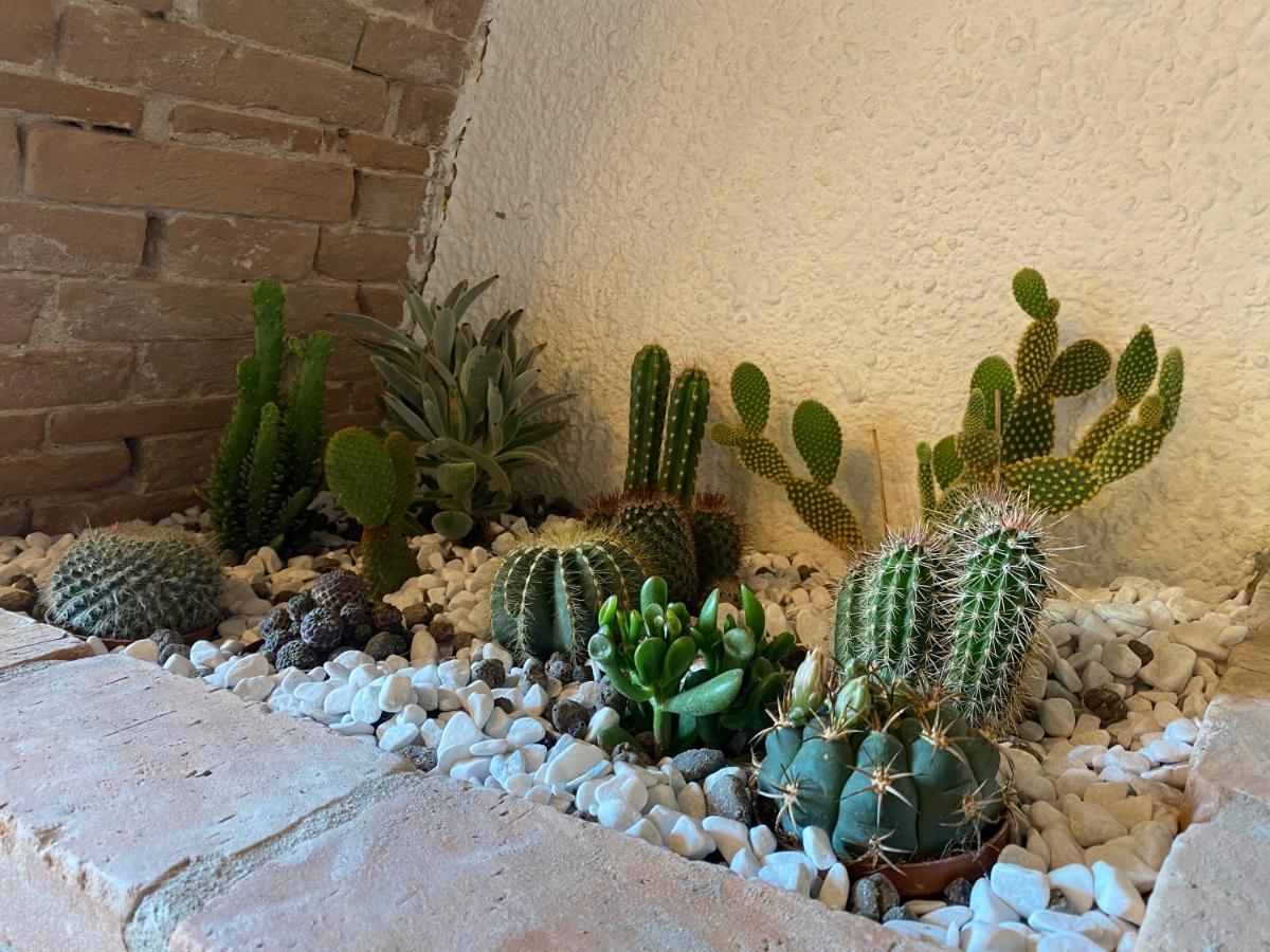 Cactus Suite Pisa Eksteriør bilde